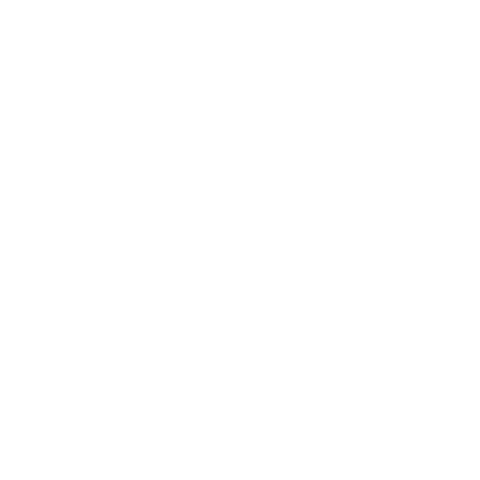 Map icon